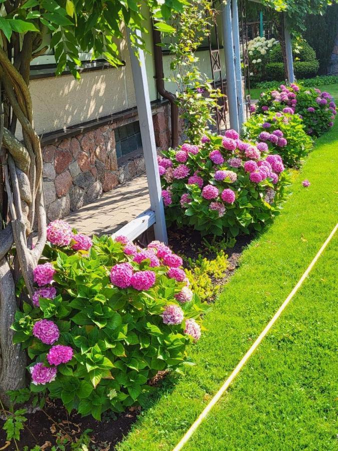 Vila Florena Garden パランガ エクステリア 写真